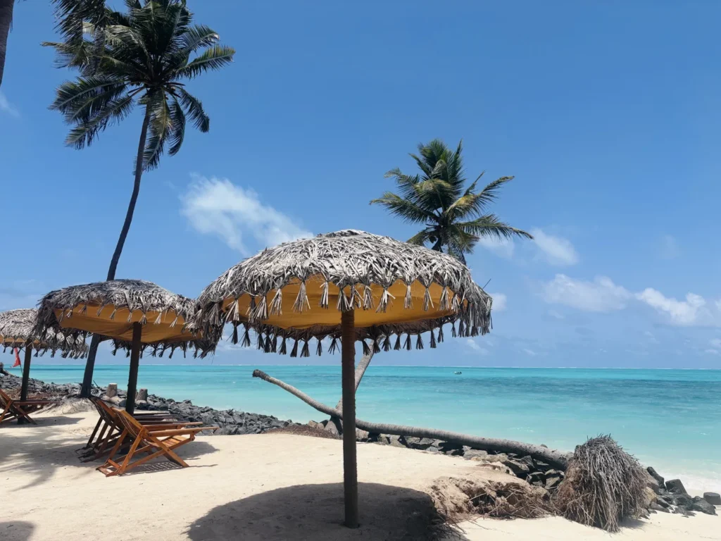Laksha Bay Beach Resort — Scallops DMC