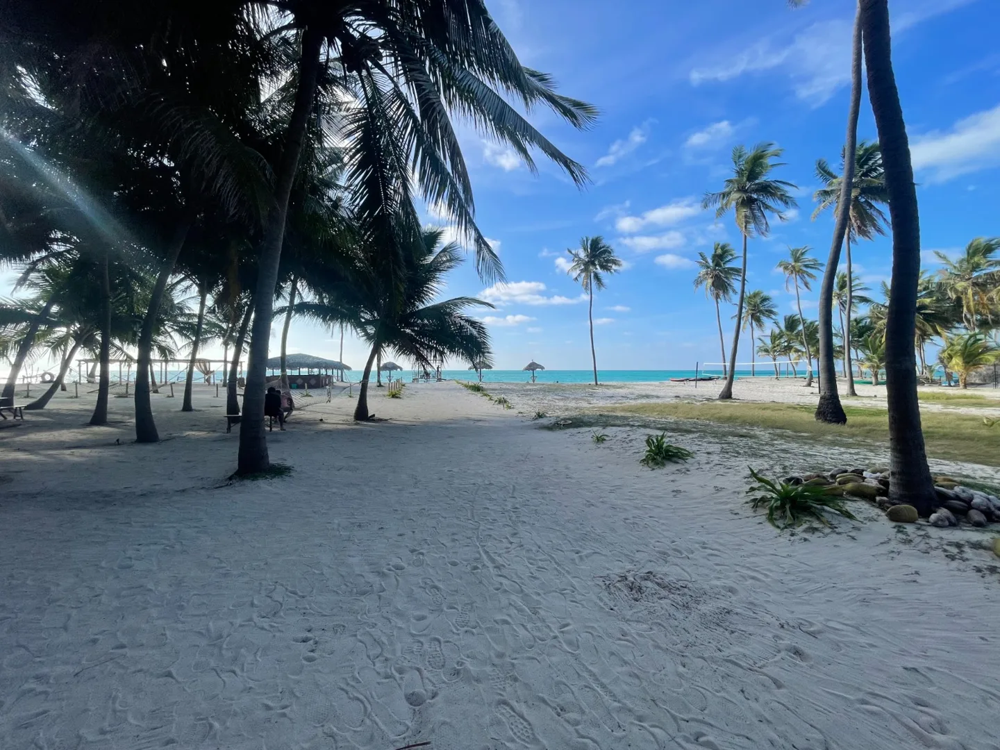 Seashell ( sunrise sea view ) — Scallops DMC