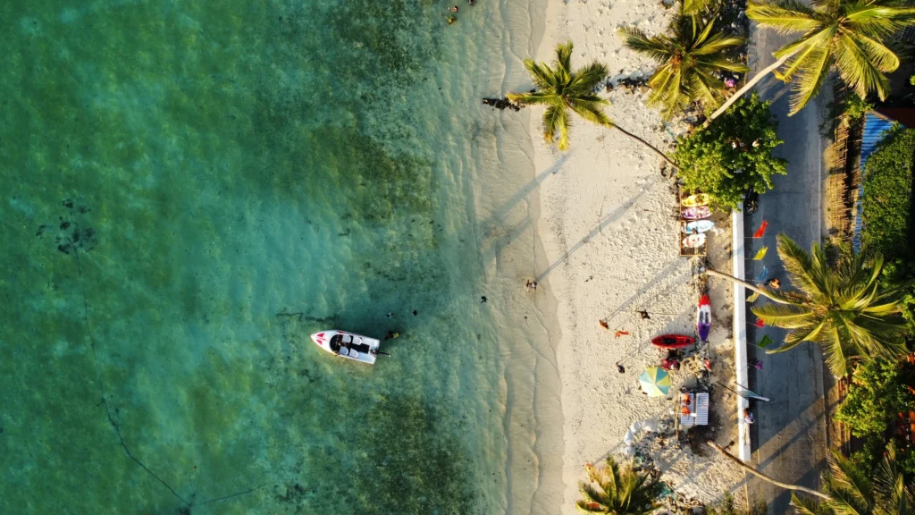 Agatti Island beach and palms
