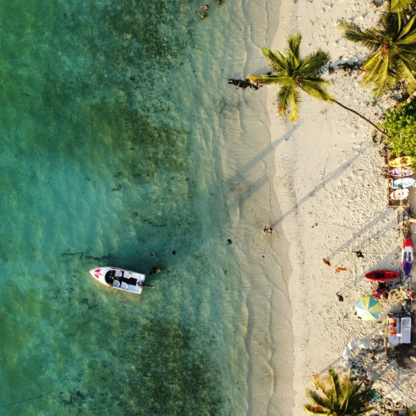 Agatti Island beach and palms
