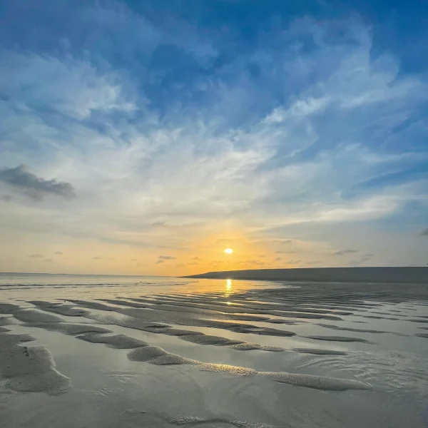 Golden light over a tidal sandbank
