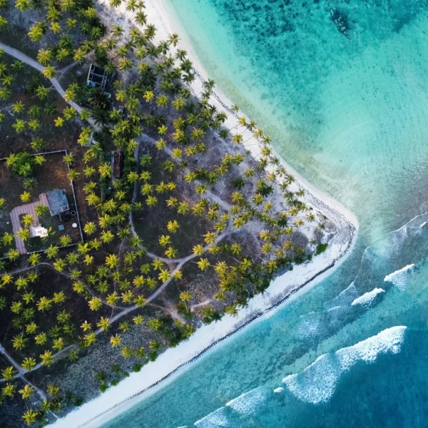 Aerial island shoreline and coral reef