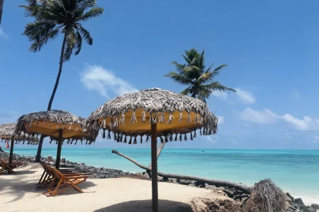Laksha Bay Beach Resort — Scallops DMC