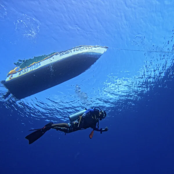 Lakshadweep underwater experience 8