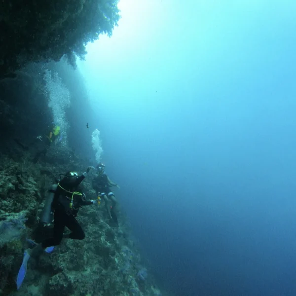Lakshadweep underwater experience 10
