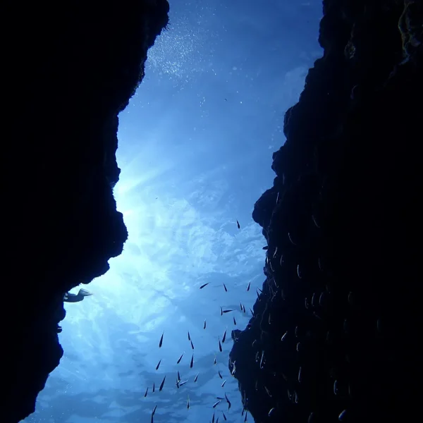 Lakshadweep underwater experience 12